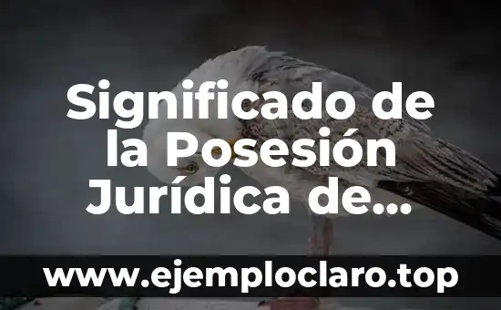 Significado de la Parte Activa de los Valores 8 Significado de la Posesión Jurídica de Inmueble