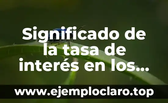 Significado de la tasa de interés en los seguros