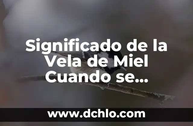 Tatuajes de flechas con plumas: significado y simbolismo detrás de esta tendencia 5 Significado de la Vela de Miel Cuando se Consume: Descubre el Poder de esta Deliciosa Tendencia