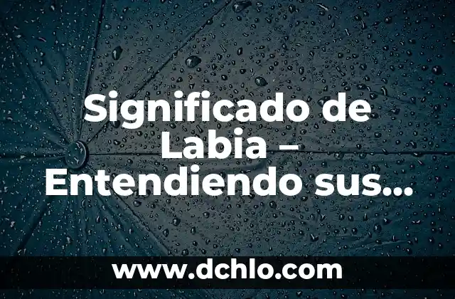 El Significado del Grunge: Orígenes, Características y Legado 7 Significado de Labia – Entendiendo sus Funciones y Características