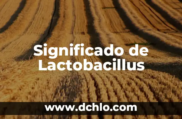 Empresa Pública: Significado e Historia 7 Significado de Lactobacillus