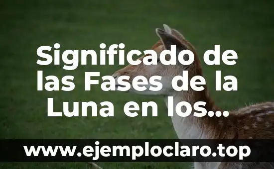 Significado de las Fases de la Luna en los Tatuajes