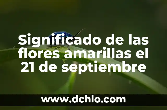 Significado del Color de las Flores Iris 7 Significado de las flores amarillas el 21 de septiembre
