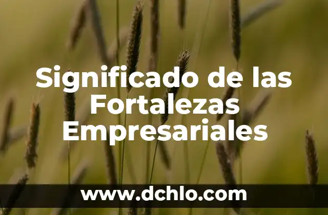 El Significado de la Flor de Loto Abierta 3 Significado de las Fortalezas Empresariales