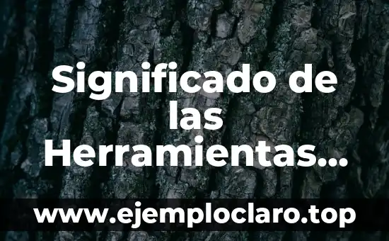 Ganador de Maestros de la Costura: Descubre el Arte de la Costura de Alta Calidad 3 Significado de las Herramientas de Calidad