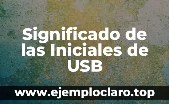 Significado de las Iniciales de USB
