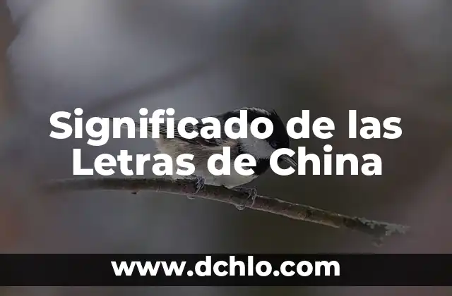 Descubre el Significado de Soyaniquilpan 7 Significado de las Letras de China