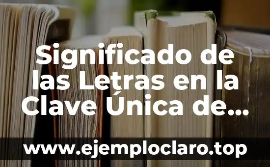Significado de las Letras en la Clave Única de Registro de Población