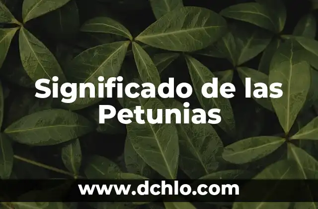El Significado Esotérico de la Llave 3 Significado de las Petunias