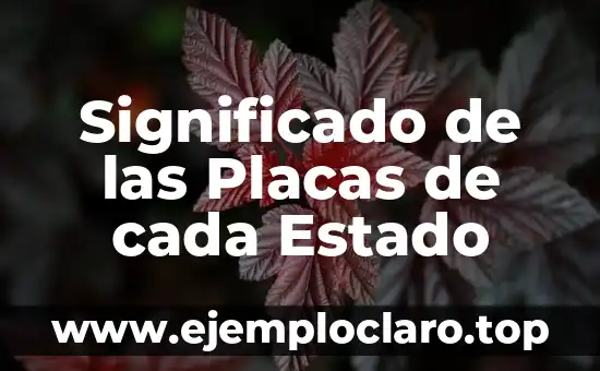 Significado de las Placas de cada Estado