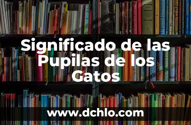 Gestión de la Residencia: Significado y Aplicación Integral 7 Significado de las Pupilas de los Gatos