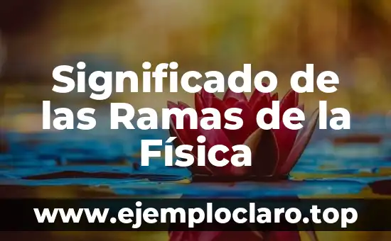 El Concepto de Cifras Significativas en Física 3 Significado de las Ramas de la Física