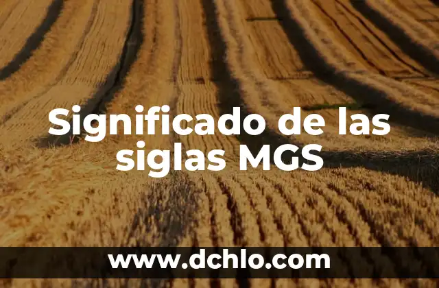 Micro SD: El Significado Detrás de las Siglas 3 Significado de las siglas MGS