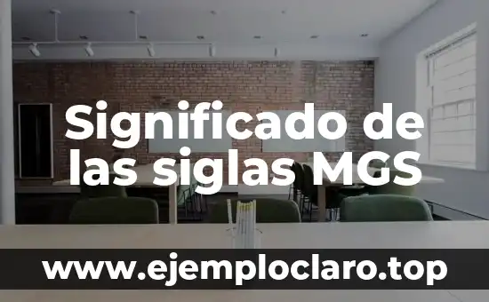 Significado de las siglas MGS