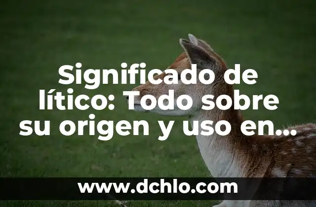 Ensayo sobre el significado de agüitado: Un análisis en profundidad 6 Significado de lítico: Todo sobre su origen y uso en la historia