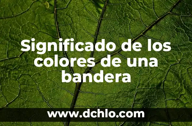 Bolivia Significado de la Bandera 5 Significado de los colores de una bandera
