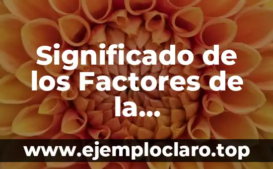 El Significado de la Fachada de la Universidad de Alcalá 8 Significado de los Factores de la Personalidad: Una Guía Completa