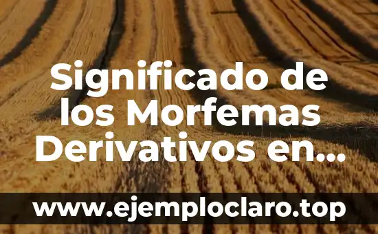 Significado de los Morfemas Derivativos en Problema