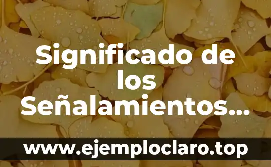 Significado de los Señalamientos de Seguridad Informática
