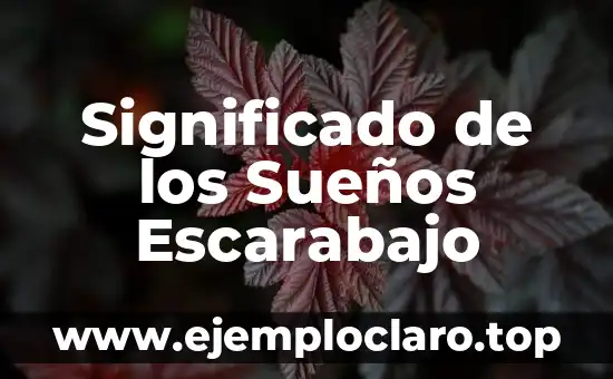 Significado de los Sueños Escarabajo