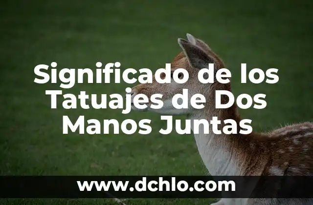 ¿Quién es mejor, CR7 o Messi? - Análisis detallado de los logros de los dos mejores futbolistas de la historia 7 Significado de los Tatuajes de Dos Manos Juntas