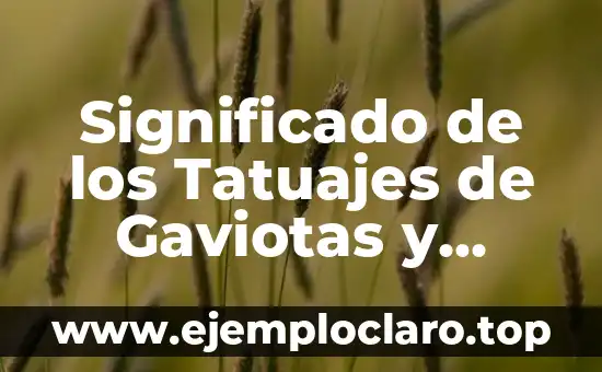 Significado de los Tatuajes de Gaviotas y Plumas