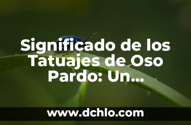 El Espíritu del Oso: Un Viaje al Corazón de la Naturaleza 3 Significado de los Tatuajes de Oso Pardo: Un Simbolismo Profundo