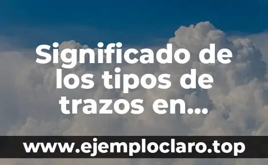 Conclusión de los Significados de los Trazos Topográficos 6 Significado de los tipos de trazos en psicoanálisis