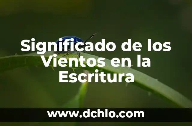 El significado profundo de los tatuajes de la rosa de los vientos 4 Significado de los Vientos en la Escritura