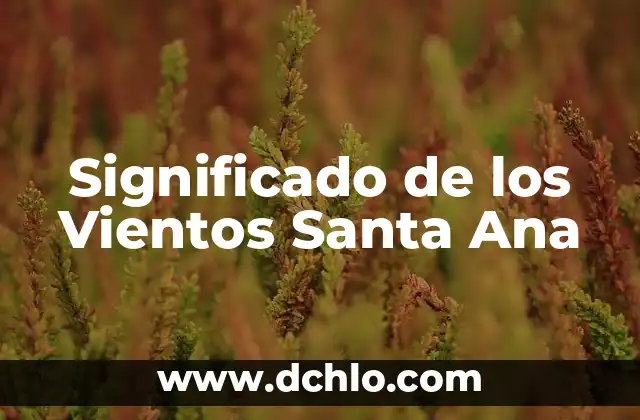 El significado profundo de los tatuajes de la rosa de los vientos 5 Significado de los Vientos Santa Ana