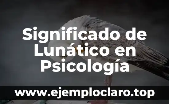 Significado de Lunático en Psicología