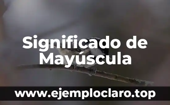 Significado de Mayúscula