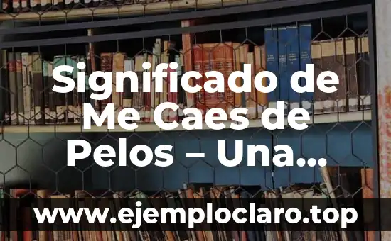 Significado de Me Caes de Pelos - Una Expresión Común en Español