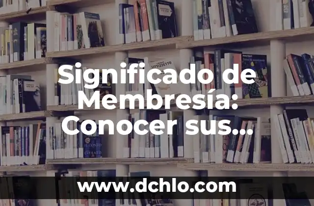 El significado del estado transitorio en la simulación: Una guía completa 3 Significado de Membresía: Conocer sus Beneficios yVentajas