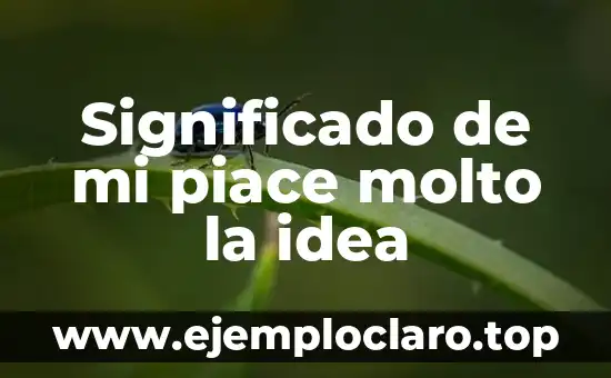 Significado de mi piace molto la idea