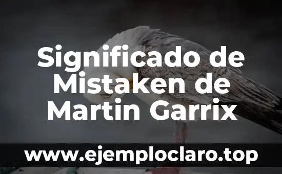 Significado de Mistaken de Martin Garrix
