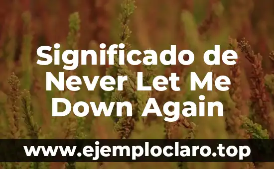 Significado de Never Let Me Down Again