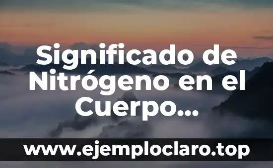 Cómo Hacer Nitrógeno Líquido 4 Significado de Nitrógeno en el Cuerpo Humano