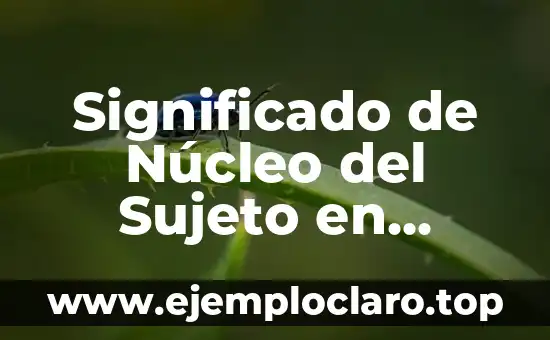 ¿Qué es el Núcleo de una Oración? Definición y Ejemplos 4 Significado de Núcleo del Sujeto en Español