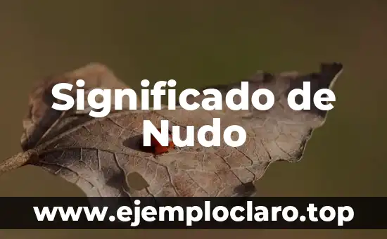 El Misterio del Nudo de la Muerte 8 Significado de Nudo