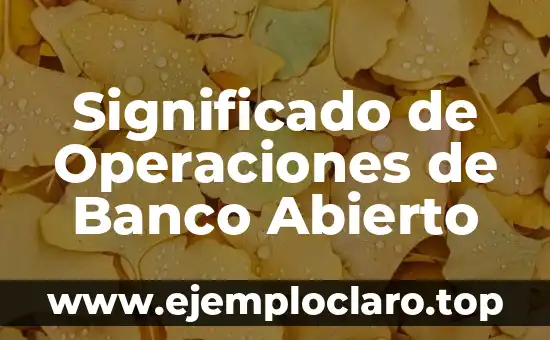 Significado de Operaciones de Banco Abierto