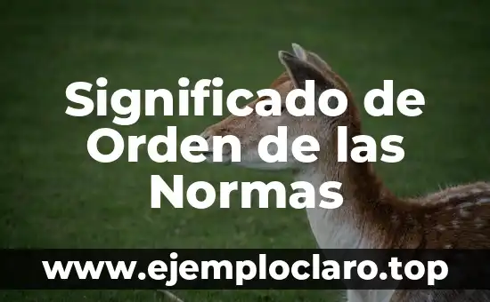 Significado de Orden de las Normas