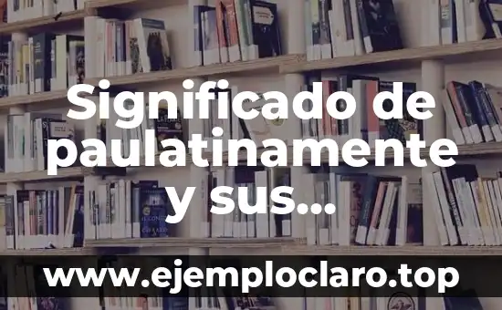 ¿Qué significa impugnar? Definición y sinónimos 4 Significado de paulatinamente y sus sinónimos