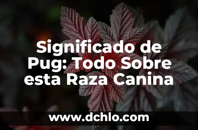 Cómo hacer el escudo de patrulla canina 4 Significado de Pug: Todo Sobre esta Raza Canina