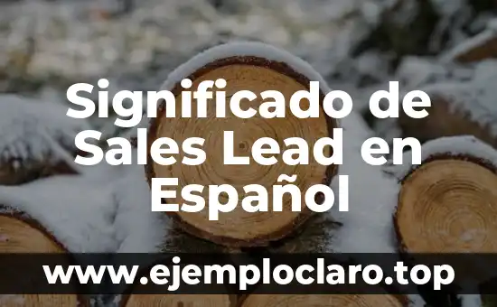 Significado en Español de Naer 6 Significado de Sales Lead en Español