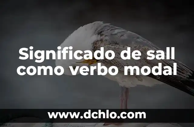 Icono de la Paz Significado 7 Significado de sall como verbo modal