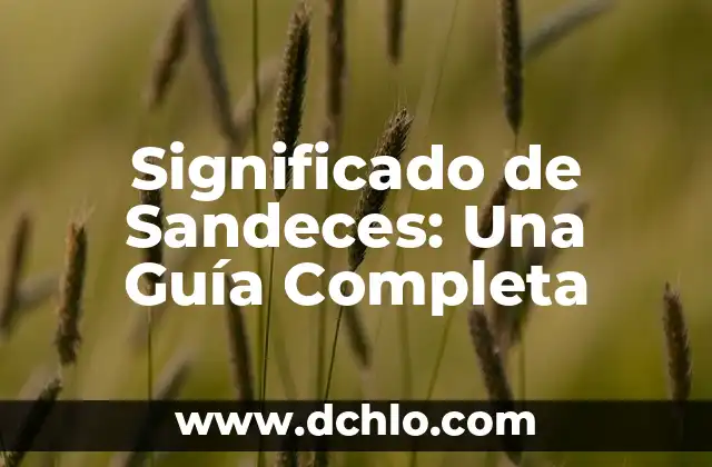 Embarazo Natural a los 47 Años es Posible: Guía Completa y Actualizada 4 Significado de Sandeces: Una Guía Completa