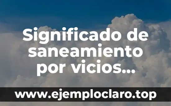 Significado de saneamiento por vicios ocultos