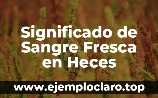 Significado de Sangre Fresca en Heces