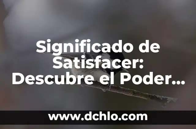 El Arte de Satisfacer: Más Allá de las Expectativas 5 Significado de Satisfacer: Descubre el Poder de Colmar Necesidades